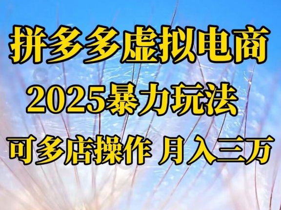 拼多多虚拟电商，不囤货不垫资的虚拟电商